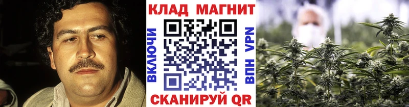 Купить наркотики сайты Великий Новгород Конопля  АМФ  ГАШ 
