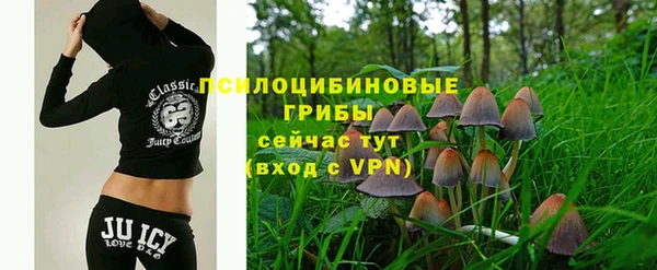 ГАЛЛЮЦИНОГЕННЫЕ ГРИБЫ Михайловка