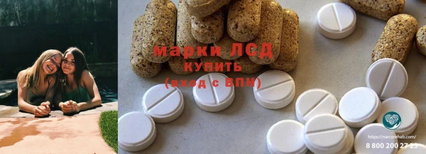 ГАЛЛЮЦИНОГЕННЫЕ ГРИБЫ Михайловка