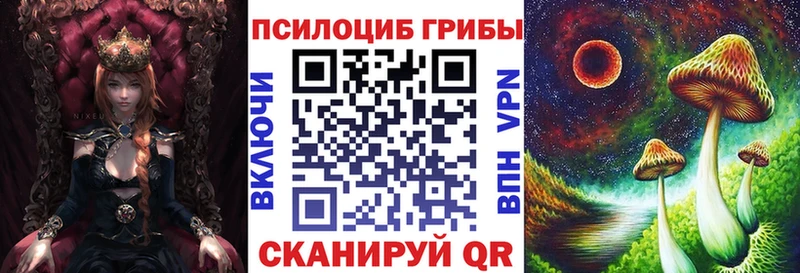купить закладку  Великий Новгород  Псилоцибиновые грибы Psilocybine cubensis 
